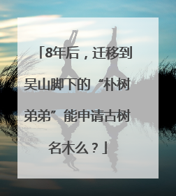 8年后，迁移到吴山脚下的“朴树弟弟”能申请古树名木么？