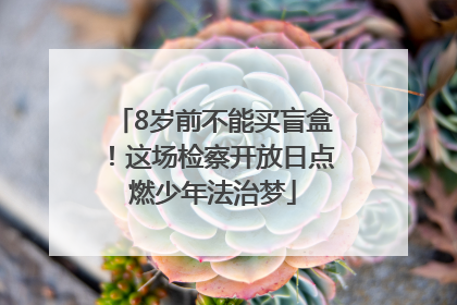 8岁前不能买盲盒！这场检察开放日点燃少年法治梦