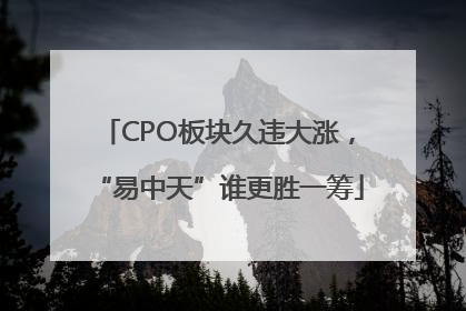 CPO板块久违大涨，“易中天”谁更胜一筹