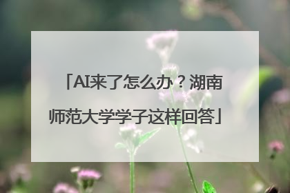 AI来了怎么办？湖南师范大学学子这样回答